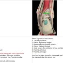 side to side talar test 이미지