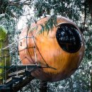 나무호텔 이미지