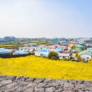 리틀램스테이 이미지