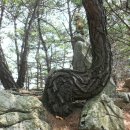 비봉산 음수대 | 구미 비봉산 형제봉 산행