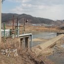 금반 불교닷컴