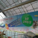 이정애농장 이미지