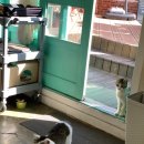 대우횟집 이미지