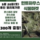 민트하우스 이미지