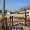 강아지 테마파크 이미지