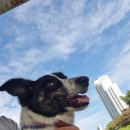 안녕하세요 이미지