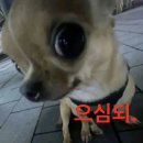 율원 | 버린 줄 알았던 기억까지 끌어올 거야