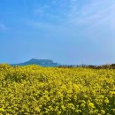 독립-16-04 이미지