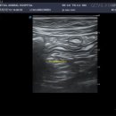 새롬동물병원 이미지