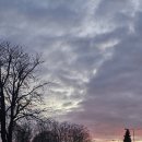 [무료특강] 보드게임 / 오전 / 24.02.24 | [덴마크 교환학생] 3월 3~4주차 일상 | 하루하루 열심히 행복하게 살기!