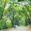 여름향기 이미지