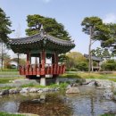 보길면-1 이미지