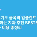 금곡의원 | 경기도 금곡역 임플란트 싸고 잘하는 치과 추천 BEST5 | 가격·비용 총정리