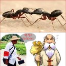 땅나와부동산중개 이미지