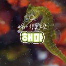 범 아쿠아