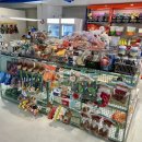 레이크펫스튜디오 이미지