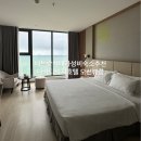 호텔아담한 충북대점 | 나트랑가성비좋은시내호텔내돈내산) "나바다비치호텔" 오션뷰트윈룸/킹룸/조식솔직후기