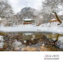 백양사진입로 이미지