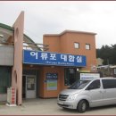 어류포대합실 Daum카페