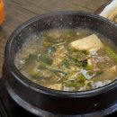 충남 보령 진짜 노포 맛집 보리마을불났네 오삼불고기 내돈내산 후기