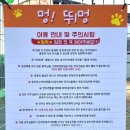멍뛰멍 네이버블로그