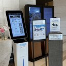 Ocean Square 빌딩(오션스퀘어) | 삼척 쏠비치 ㅣ 파셜 오션뷰 패밀리 트윈, 해파랑 조식 단품 솔직 후기
