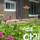 갈망개 민박 | 쉼과 도전 사이, 나를 찾아가는 길