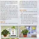 호야농원 이미지