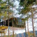 나무호텔 이미지