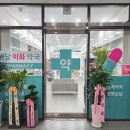 고양이화약국 네이버블로그