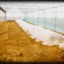 연동농장 이미지