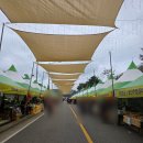 당두축산 이미지