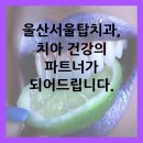 울산서울탑치과, 치아 건강의 파트너가 되어드립니다.