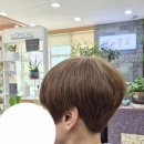 보브헤어갤러리 - 96967 | 종로보브단발컷 더워질수록 가볍게 정리한 숏단발 스타일 후기