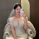 플레타플레르 이미지