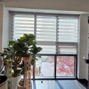 새말 피트니스 이미지