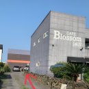 욜로올레제주 이미지