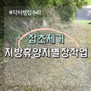 산 진입로 잡초 제거 휴양림 휴양지 전원주택 제초 벌초