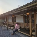 시골소쿠리 | 강릉 주문진 디저트 카페 강냉이소쿠리, 아이스크림 + 초당옥수수라떼 후기