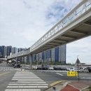 닥터김 동물의료센터 이미지