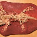 영월화석박물관 이미지