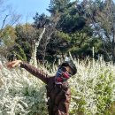 장충파출소 이미지