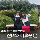 추억의선녀와나무꾼 | 제주 동쪽 가볼만한곳 선녀와나무꾼 입장료 관광지 후기