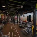 핏플러스 제임스짐 | 헬스장 핏플러스 제임스 피트니스 울산 북구 상안동 가격 비용 후기 추천