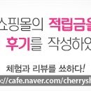 얀스토리 - 양평군 한들길 24-1 | 얀스토리