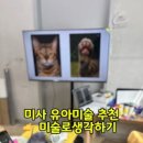 미술로생각하기하남학원