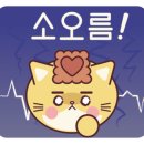 더다옴 이미지