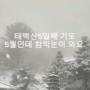 대한민국 5월 날씨 근황 ㅋㅋㅋㅋㅋㅋㅋㅋㅋ 이미지