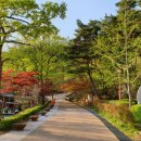 강화자연휴양림 이미지