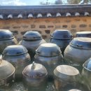 물들어간다는 것은 이미지